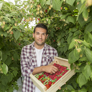 Payroll rules for seasonal workers – how your business can stay compliant